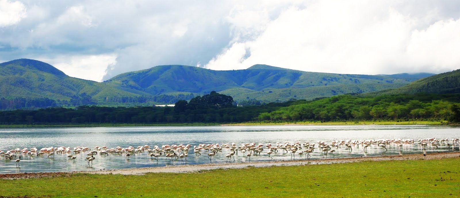 Day 04 : Amboseli - Lake Naivasha 